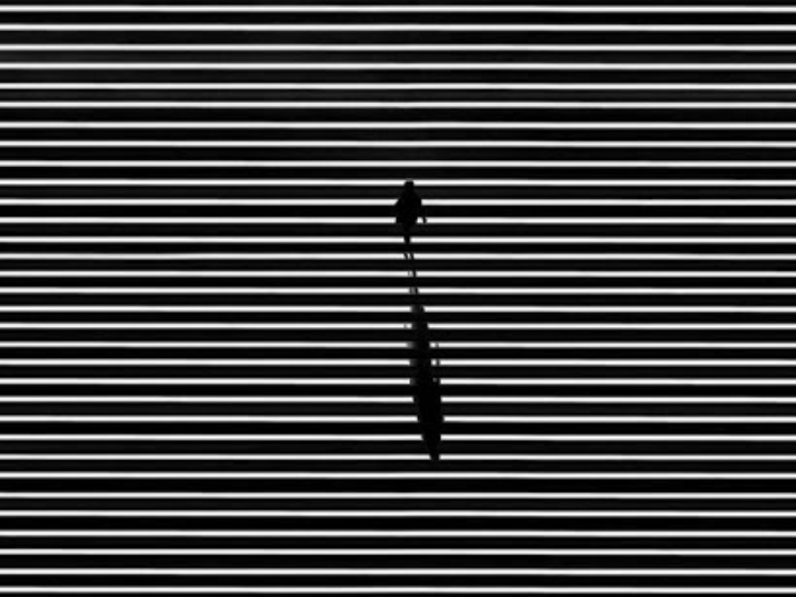 «Το αβέβαιο και απρόβλεπτο των συναισθηματικών αντιδράσεων προσώπων που είναι δίπλα σε άτομα εξουσίας με επίσημη ή ανεπίσημη σχέση, δημιουργεί ένα πλέγμα πιθανών προβλημάτων που ίσως να διασφαλίζονται με κάποιους ελεγκτικούς μηχανισμούς ή δεσμεύσεις.»