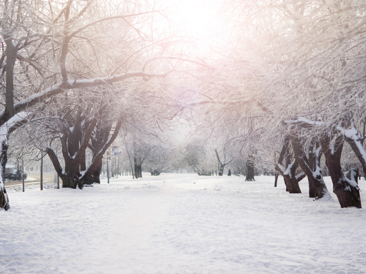«Το κόστος της κλιματικής αλλαγής, αν δεν κάνουμε τίποτα, τους υπενθυμίζω ότι θα ξεπεράσει τα 700 δισεκατομμύρια ευρώ στο τέλος του αιώνα μας.»