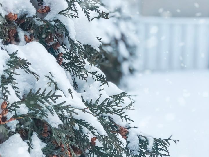 Οι ευθύνες ιδιωτών και κράτους είναι τεράστιες, γιατί ακόμα και οι πέτρες γνώριζαν μια εβδομάδα πριν τη χιονοθύελλα, ότι από τη Δευτέρα 24 Ιανουαρίου η χώρα θα δεχόταν πρωτοφανές κύμα κακοκαιρίας.