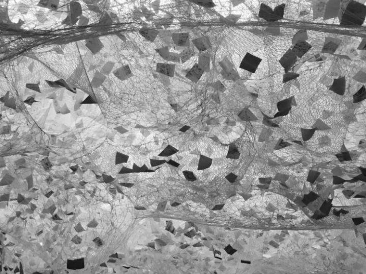 «Ο σταλινισμός είναι εγγενής με τον ολοκληρωτισμό και άρα με την κομμουνιστική ιδεολογία. Υπό αυτή την έννοια, οι προσπάθειες που γίνονται ώστε να διαχωριστεί η μαρξιστική θεωρία από τις πρακτικές εφαρμογές της είναι ατυχέστατες.»