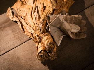 Η British American Tobacco προμηθεύεται πάνω από 400.000 τόνους καπνού κάθε χρόνο από περισσότερους από 100.000 συμβεβλημένους γεωργούς και προμηθευτές σε όλο τον κόσμο.