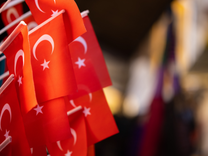 «Η Τουρκία κατά Ερντογάν είναι αμέτοχη στο δράμα αυτών των ανθρώπων. Δεν είδε και δεν άκουσε τίποτα ο αυταρχικός ηγέτης της Άγκυρας, για τους στρατοχωροφύλακες, που μεταφέρουν με δικά τους μέσα και με την βία στον Έβρο τους μετανάστες και αφού τους ρημάξουν κλέβοντας τους και το τελευταίο ευρώ, τους οδηγούν στα περάσματα του ποταμού, προκειμένου να κατευθυνθούν προς την Ελλάδα.»