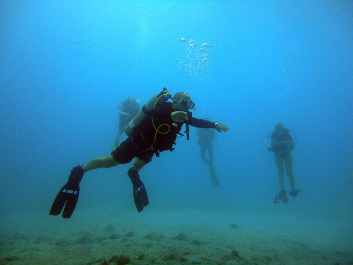 «30 χρόνια σκέψεων, συσκέψεων και βαθέος υποτίθεται προβληματισμού έως ότου επιτέλους εφέτος το υπουργείο και οι σοφοί εγκέφαλοί του επέτρεψαν το εύλογο και αυτονόητο: την επίσκεψη των υποθαλάσσιων αρχαιοτήτων, κάτι που μέχρι τώρα ήταν απαγορευμένο.»