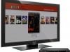 Το κοινό της Web TV είναι εμπορικά «ελκυστικό», αλλά έχει συγκεκριμένα χαρακτηριστικά και συμπεριφορά. Οι διαφημιστικές καμπάνιες για το συγκεκριμένο Μέσο πρέπει να είναι προσαρμοσμένες σε αυτά τα χαρακτηριστικά