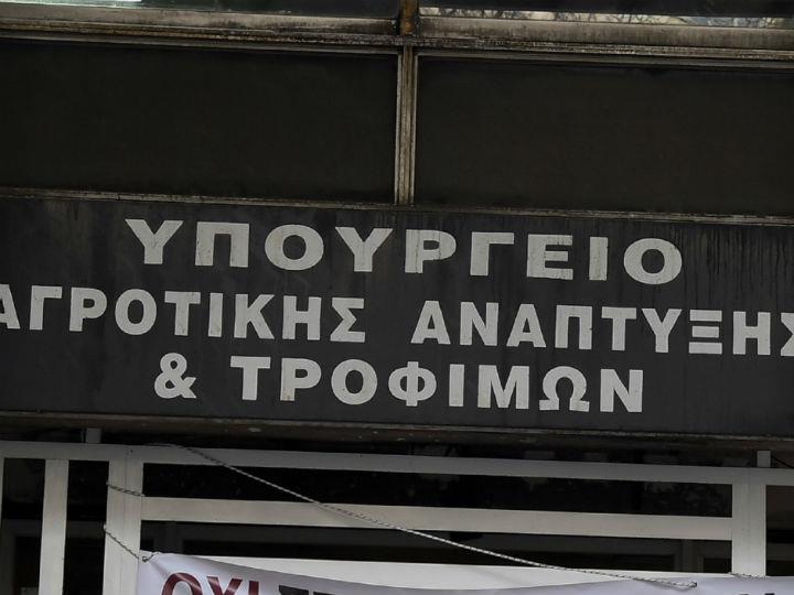 «Για να πάρετε μία εικόνα της γεωργικής μας παιδείας δεν έχετε παρά να πάτε στην γεωπονική σχολή Αθηνών. Εκεί θα πραγματικά θα σας πιάσει κατάθλιψη. Αντί να ανθούνε κήποι και αμπέλια επικρατεί μία πρωτόγνωρη εγκατάλειψη...»